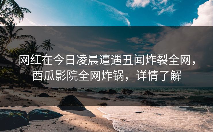 网红在今日凌晨遭遇丑闻炸裂全网,西瓜影院全网炸锅,详情了解